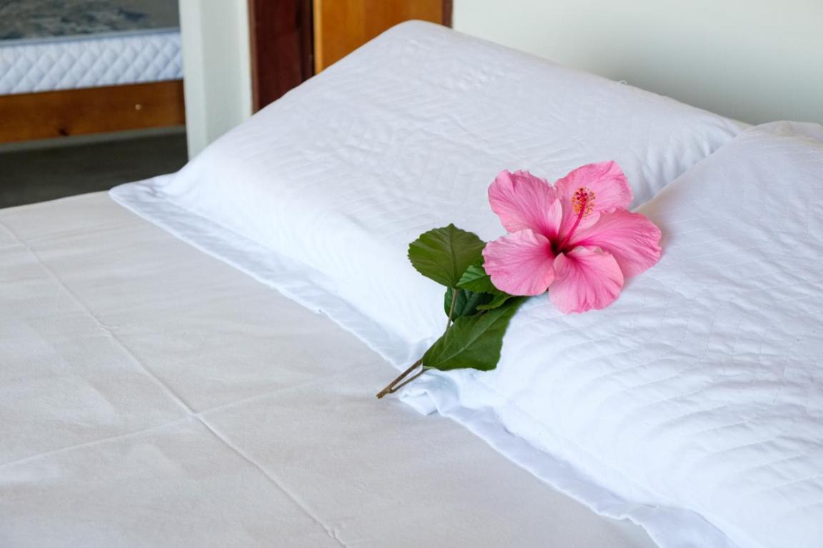 Haleiwa Chales E Suites - A Guest House Do Prumirim Ubatuba Kültér fotó